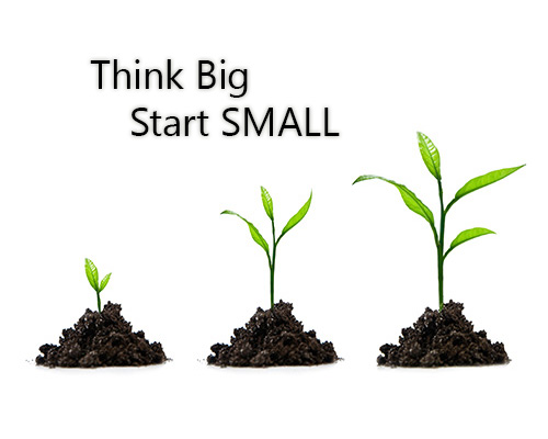 Think Big Start Small