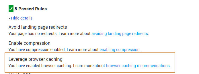 Google Page Speed Leverage Browser Caching Passed